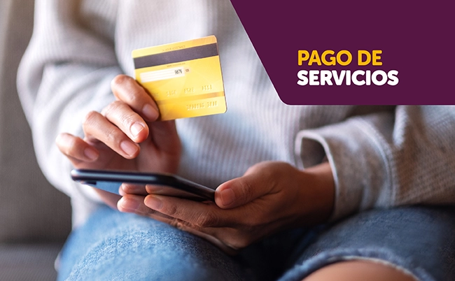 paga tus servicios