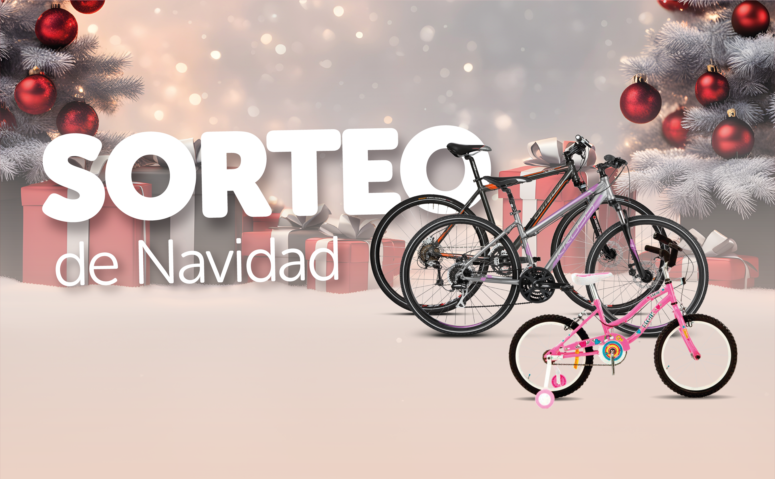 Sorteo Navidad